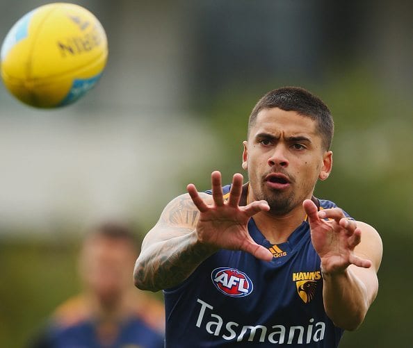 MELBOURNE, AUSTRALIA - SEPTEMBER 17:  Bradley Hill of the Hawks marks the ball during a Hawthorn Hawks AFL training session at Waverley Park on September 17, 2015 in Melbourne, Australia.  (Photo by Michael Dodge/Getty Images)