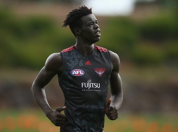during an Essendon Bombers AFL training session at True Value Solar Centre on January 20, 2016 in Melbourne, Australia.