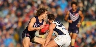 REPORTS: Chris Mayne set to join North Melbourne