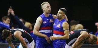 Dogs star Jake Stringer axed