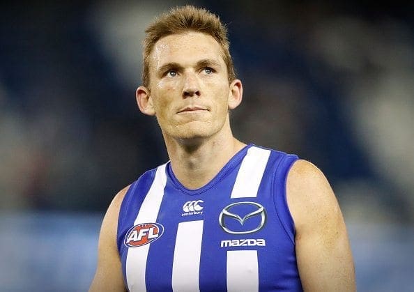 MELBOURNE, AUSTRALIA - AUGUST 27: Drew Petrie of the Kangaroos looks on during the 2016 AFL Round 23 match between the North Melbourne Kangaroos and the GWS Giants at Etihad Stadium on August 27, 2016 in Melbourne, Australia. (Photo by Adam Trafford/AFL Media/Getty Images)