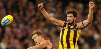 Hawks duo set to return for Cats clash