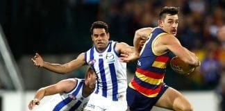 Cats rule out play for Wells