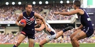 Fremantle defender Michael Johnson under Police investigation