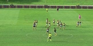 2016 AFL Draft prospects: Harry Perryman