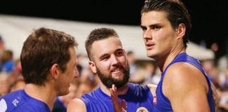Matt Suckling returns for the Dogs