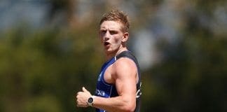 2017 best 22 analysis: North Melbourne