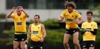 Hodge's huge praise for new recruit