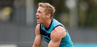 Cats duo ruled out for round one