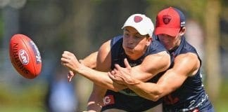 Melbourne youngster Joel Smith suffers dislocated shoulder