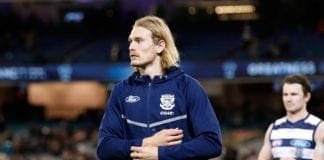 Another Cat joins Lonergan in quarantine