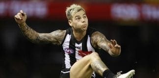 Pies provide update on fitness of Elliott, Fasolo
