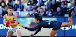 Wallace predicts the season ahead for the Crows, Blues and Eagles