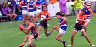 Dogs suspect the worst for Liberatore