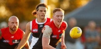 Star Demons duo in doubt for round one