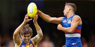 Blues reveal free agency targets