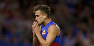 REPORTS: Victorian club hunting out of contract Dog