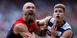 Melbourne will absolutely smash Geelong: Murphy