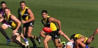 REPORTS: Clubs circling Tigers forward