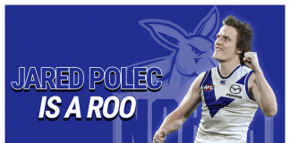 DONE DEAL: North land Polec, Pittard