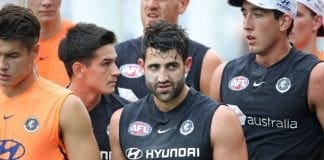 Bolton commends Fasolo on his Australia Day accident apology