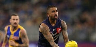 Report: Dockers duo set to request move back to Victorian cubs