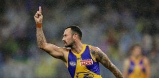 Eagles release veteran "to explore other AFL opportunities"