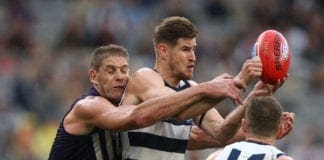 REPORTS: Ruckman shake up at the Cattery