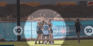 WATCH: Video emerges of Crows duo Kyle Hartigan and Billy Frampton punching on at training