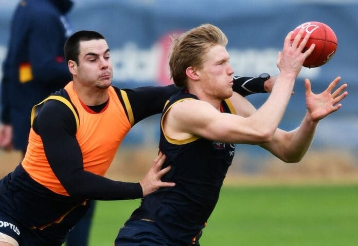 Adelaide Crows Training Session