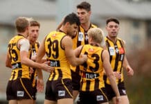 State League Wrap: Shark boots 10 goals, Tigers young gun impresses