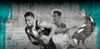 PAFC-TT