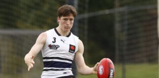 Draft focus: Hawthorn