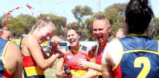 "They're bloody hard to win": Clarke claims celebrating Crows are ready for Roos
