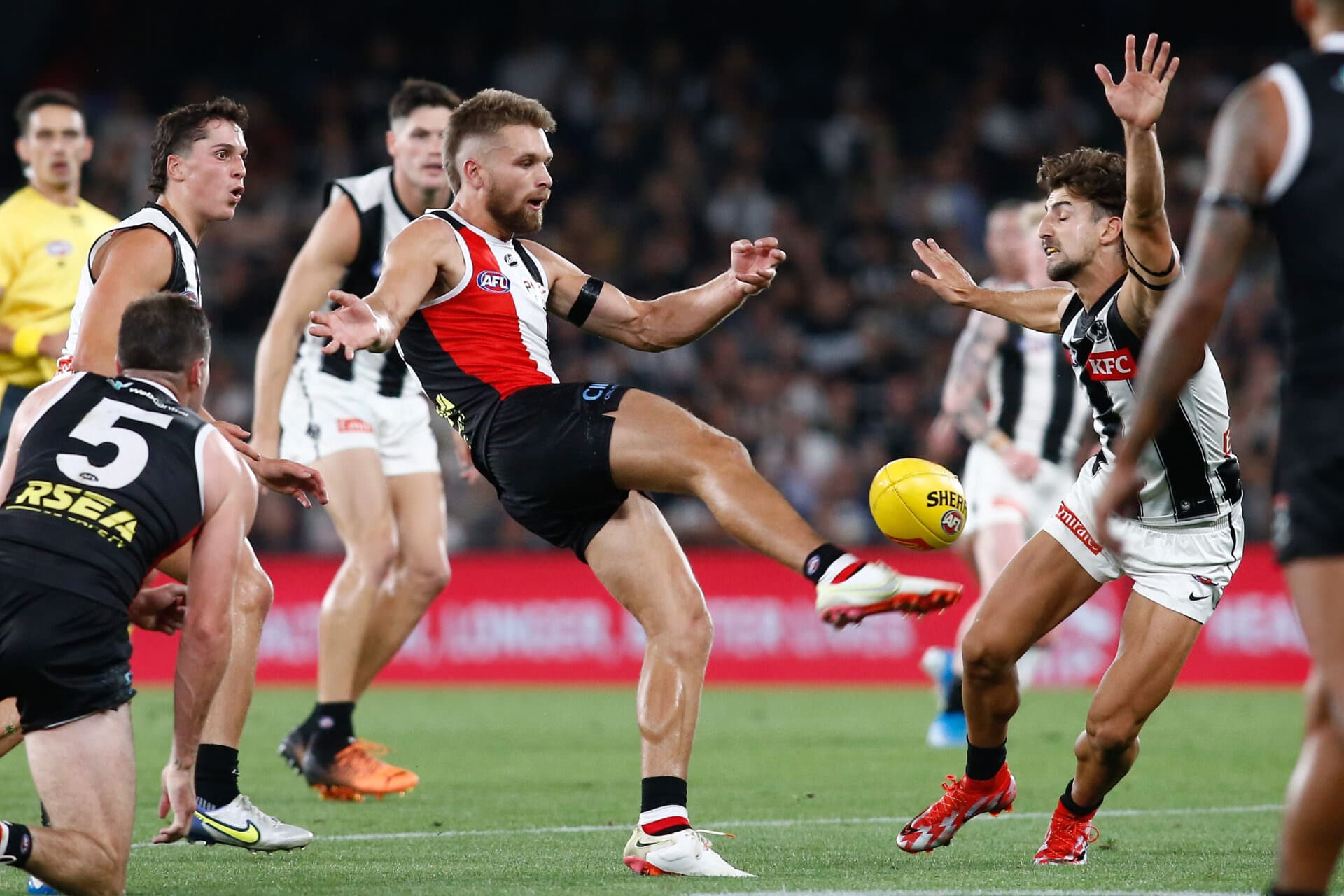 Detailed Trade Talk: West Coast Forward Tipped To Join St Kilda Influx Image Nature Detailed Trade Talk: West Coast Forward Tipped To Join St Kilda Influx Image Nature