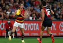 "He’s not punishing": Adelaide shed light on Crouch selection exclusion