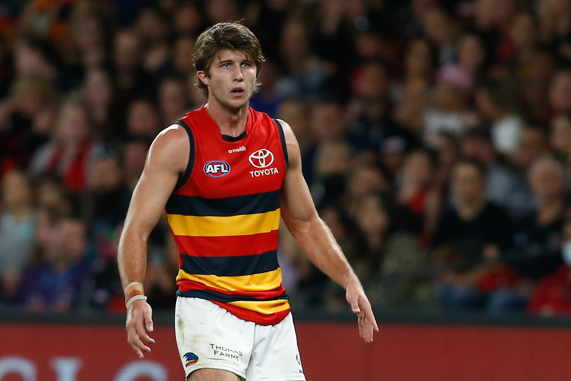 Adelaide cop injury blow to key defender ahead of crunch clash with Fremantle
