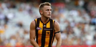 Hawthorn utility signs on