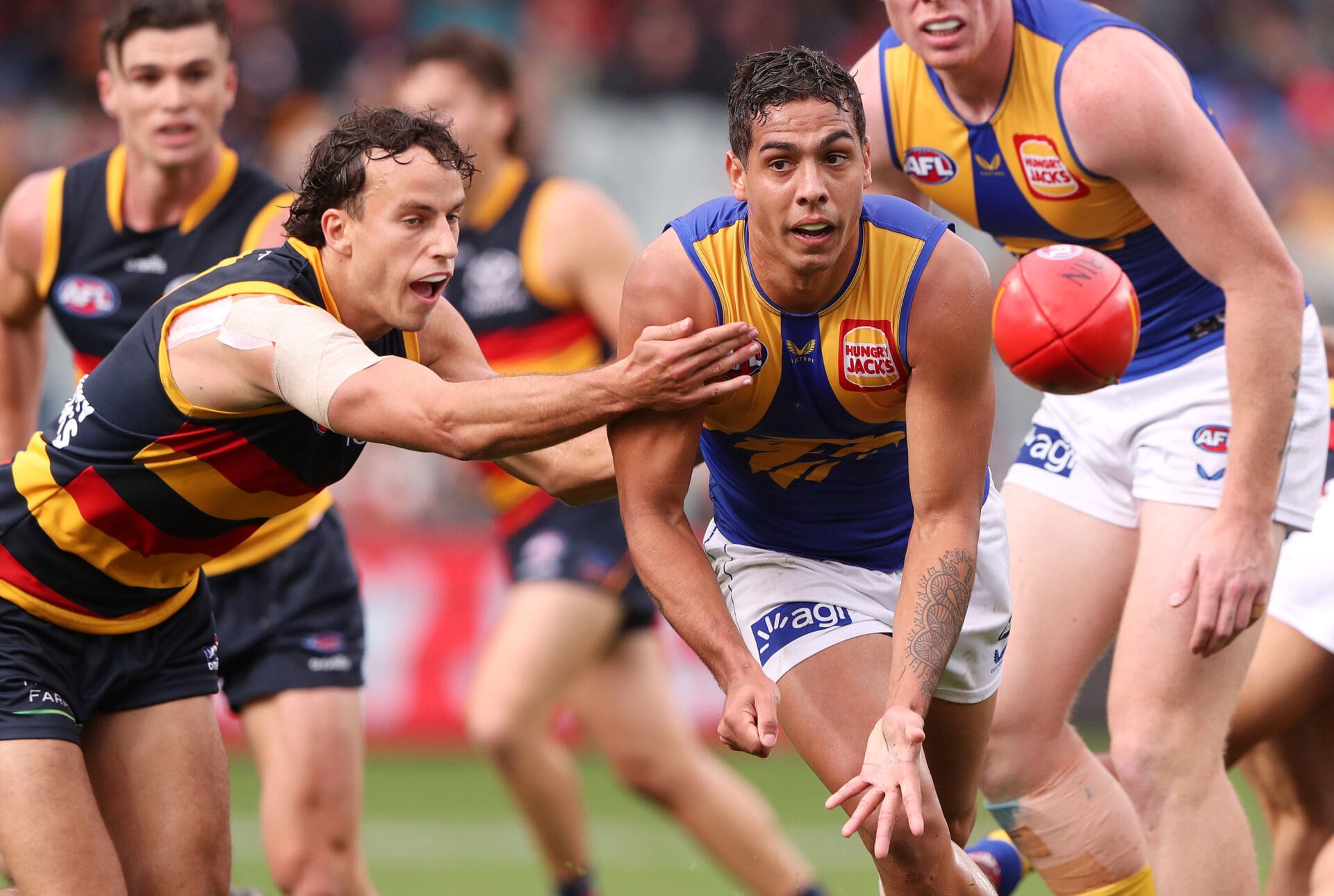 Former West Coast forward reportedly on the radar of AFL clubs - Zero ...