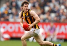 Hawks set for 'heavy' focus on AFL Draft
