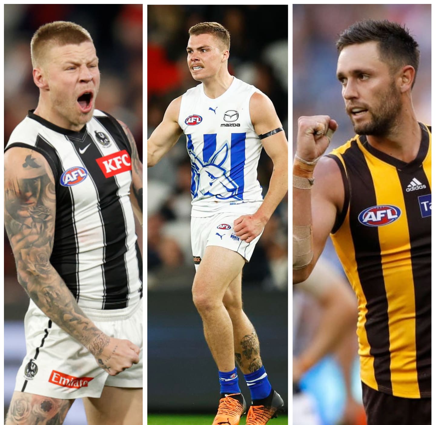 Latest on De Goey and Grundy, interest in premiership Hawk: AFL trade news  wrap - AFL News - Zero Hanger