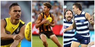 Delisted dozen: 12 players worthy of a second chance in the AFL for 2023
