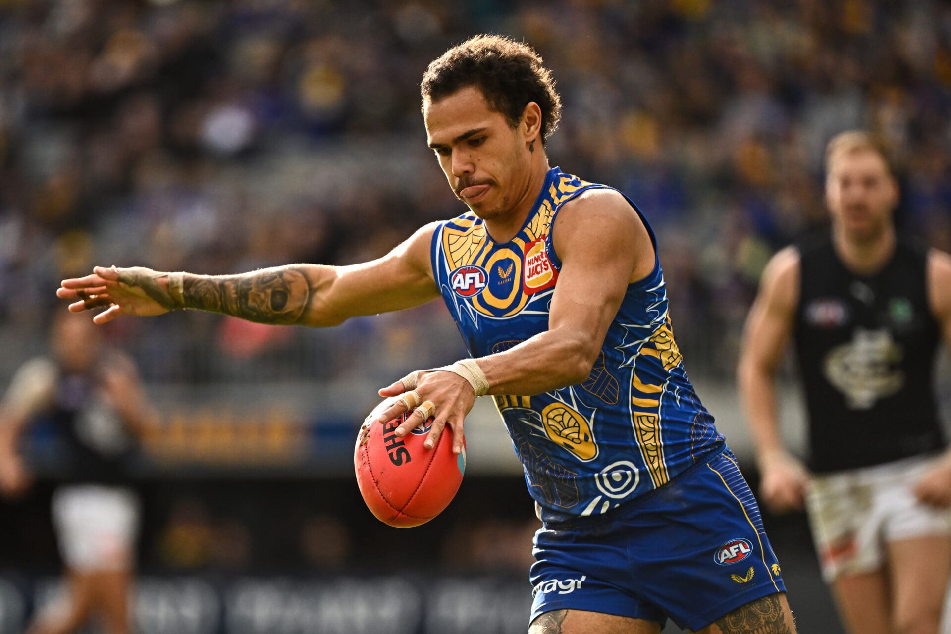 Every AFL team's best 23 for the 2024 season: West Coast Eagles - AFL