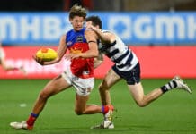 Which fringe Lions are pressing their case for a preliminary final call-up?