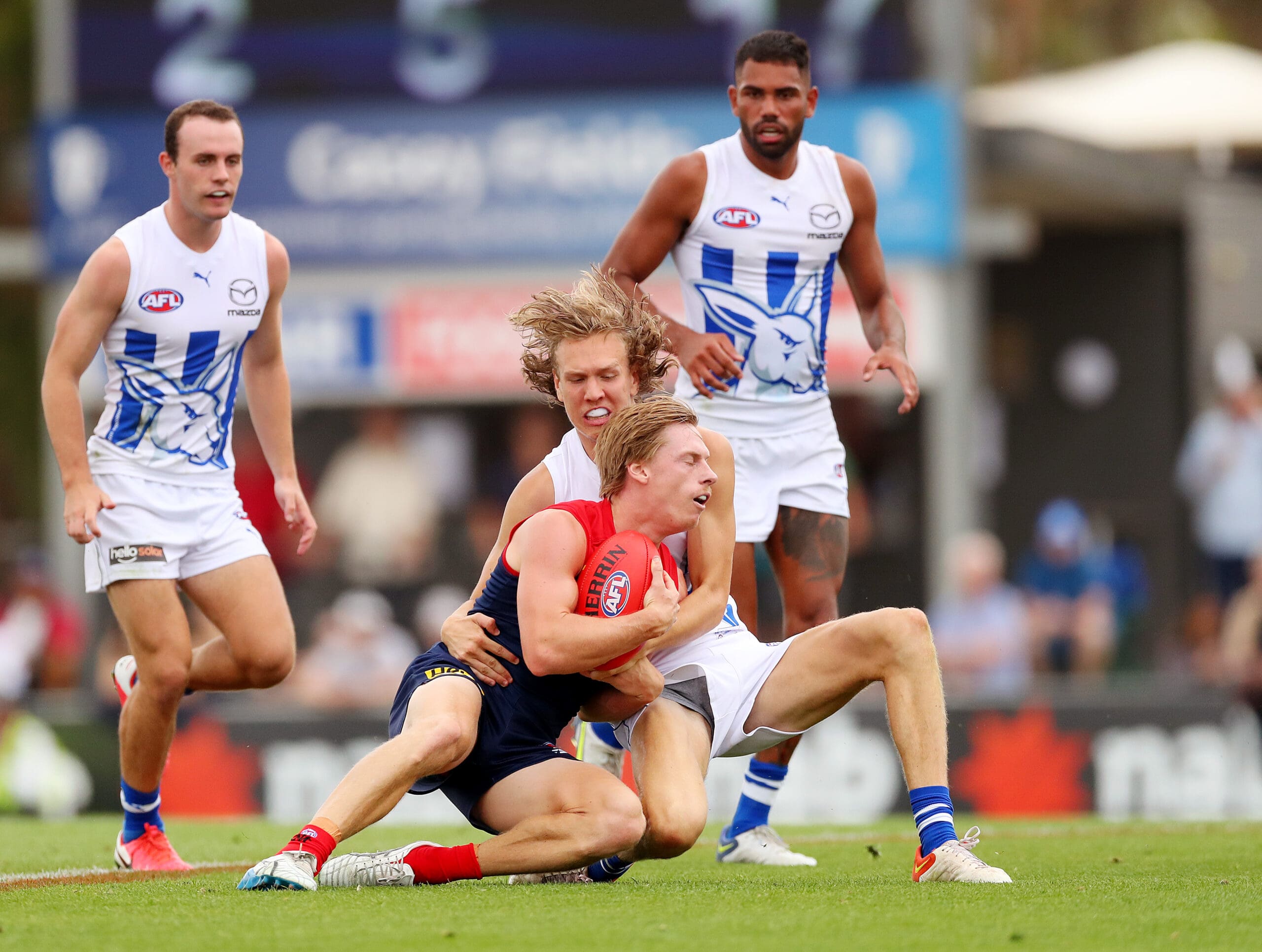 North Melbourne lock away young defender Miller Bergman with new deal