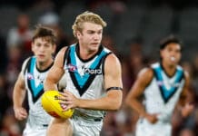 North Melbourne has "no grudge" against young Port star ahead of Tassie clash