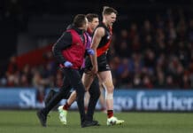 "Wasn't a cork": Bomber backman Jordan Ridley back under injury cloud