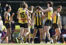 St Kilda make promise to draft Sandringham VFL players