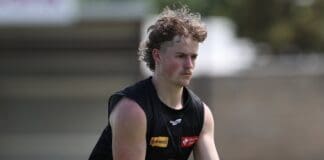 Ex-Essendon forward confirmed as one of three Fremantle SSP train-on additions