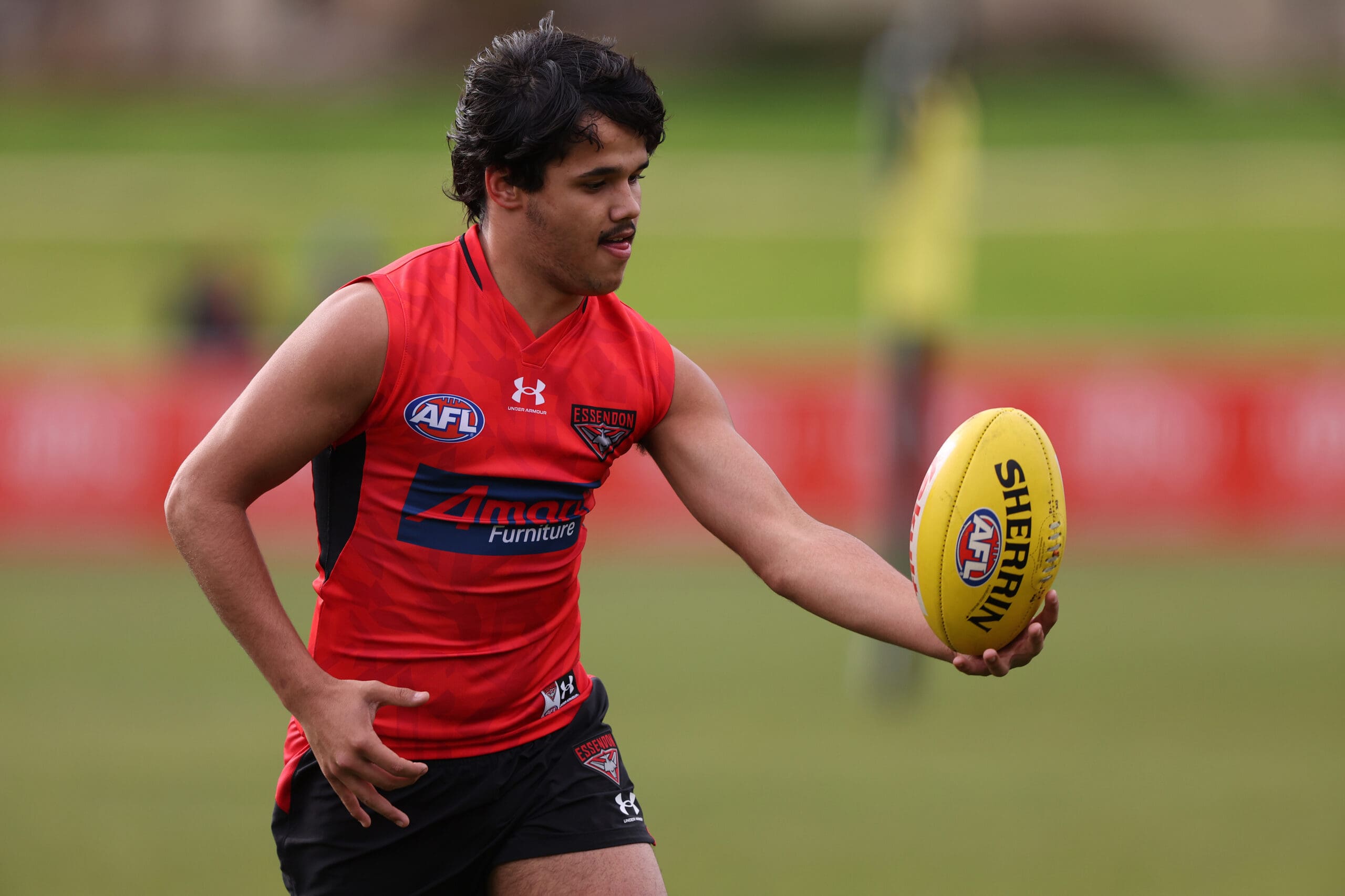 Injured Davey twin reveals latest on recovery timeline as brother looks to reach new heights with Essendon